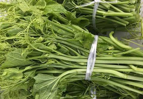 吃胡子瓜,探寻吃胡子瓜的奇妙之旅