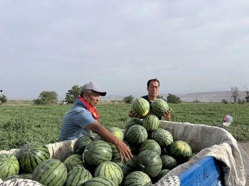 17吃瓜每日大寒,17吃瓜带你领略冬日美食盛宴