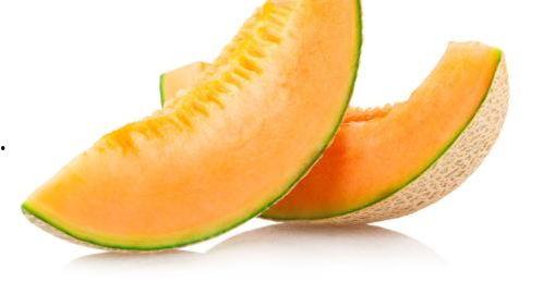 野鸟吃哈密瓜,自然界的和谐共生